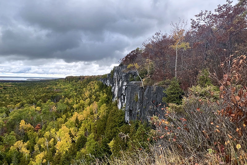 Image taken by Dawn Noble McCann of the Cup Saucer.