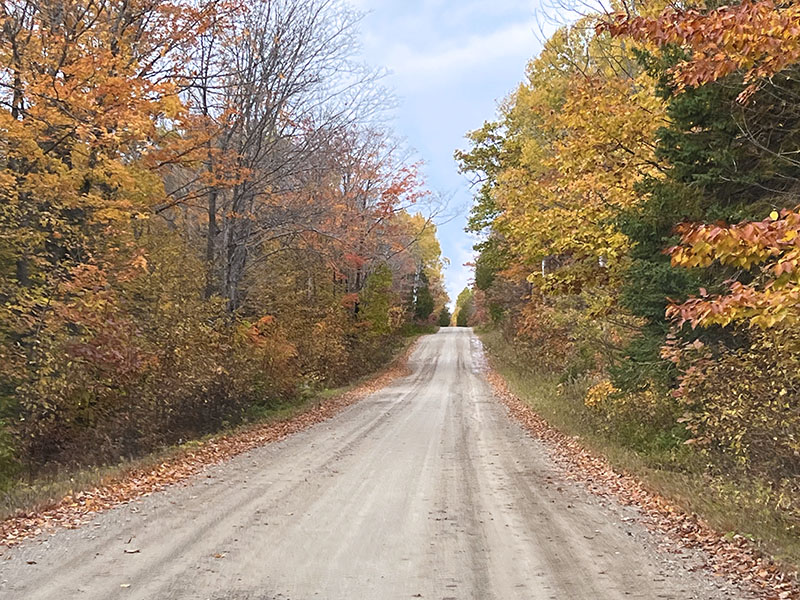 Image taken by Dawn Noble McCann of a road in Assiginack in the Fall.