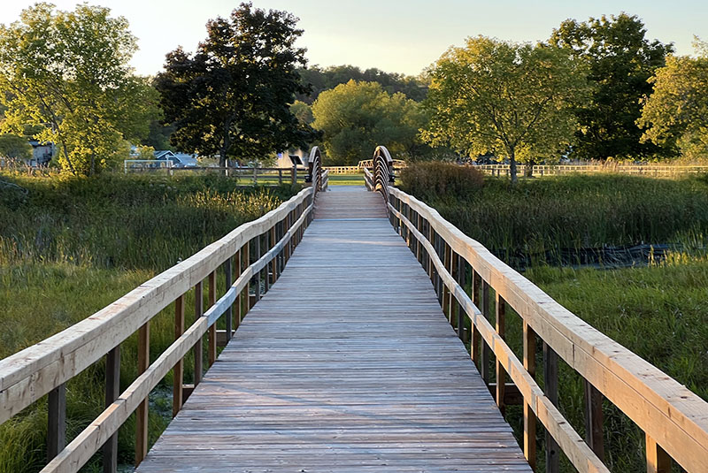 Image taken by Dawn Noble McCann of a boardwalk at dawn.