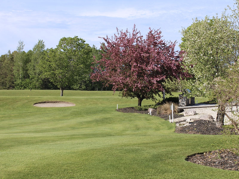 Image taken by Dawn Noble McCann of a golf course on a sunny day.